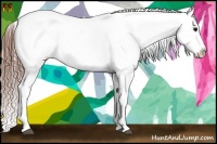 Horse Color:Black Appaloosa Rabicano 