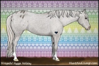Horse Color:Silver Black Appaloosa 