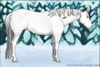 Horse Color:Bay Splash Tobiano