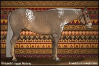 Horse Color:White Spotted Chocolate Palomino 