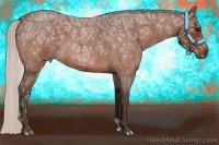 Horse Color:Silver Bay Ice Roan 