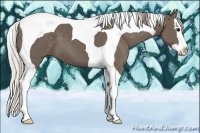 Horse Color:Silver Black Splash Tobiano 