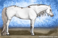 Horse Color:White Spotted Silver Black Frame 