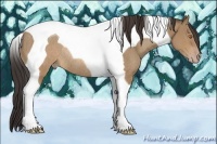 Horse Color:Sable Champagne Tobiano Rabicano