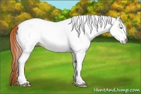 Horse Color:White Spotted Buckskin Pearl 
