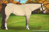 Horse Color:Amber Cream Champagne Roan Dun 