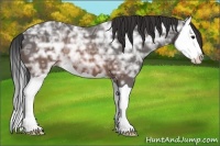 Horse Color:Brown Ice Splash