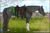 Horse Color:Black  Brindle