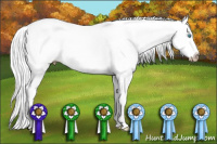 Horse Color:Gray Perlino Splash Tobiano 