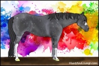 Horse Color:Black 