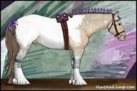 Horse Color:Buckskin Ice Appaloosa
