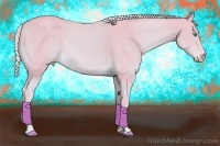 Horse Color:Watercolor Cremello 