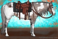 Horse Color:White Spotted Bay Frame Appaloosa