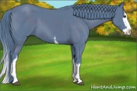Horse Color:Watercolor White Spotted Liver Chestnut Splash 