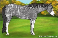 Horse Color:Smoky Black Ice Sabino 