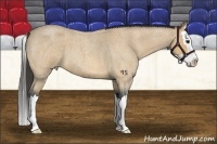 Horse Color:Buckskin Roan Splash 
