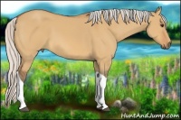 Horse Color:Silver Bay Dun Tobiano