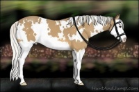 Horse Color:White Spotted Silver Buckskin Splash 