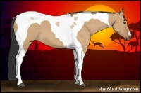 Horse Color:Bay Dun Tobiano 