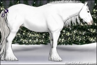 Horse Color:Chocolate Palomino Ice Snowcap Rabicano