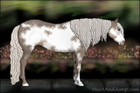 Horse Color:Silver Smoky Black Frame