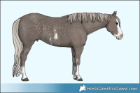 Horse Color:Silver Black Sabino Splash