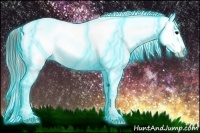 Horse Color:Thunderstruck Brown Dun Appaloosa 