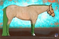 Horse Color:Watercolor Bay Roan 