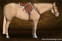 Horse Color:Gold Champagne Sabino Rabicano