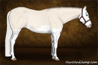 Horse Color:Silver Perlino Splash Rabicano