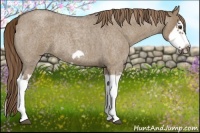 Horse Color:Liver Red Dun Roan Splash Frame Rabicano