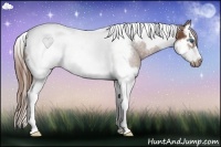 Horse Color:Chestnut Splash Tobiano Frame