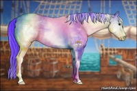 Horse Color:Watercolor White Spotted Buckskin Dun Sabino 