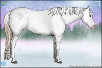 Horse Color:Red Dun Ice Splash Appaloosa 