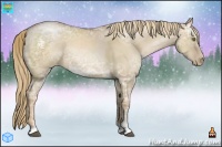 Horse Color:Liver Red Dun Ice Pearl Sabino 