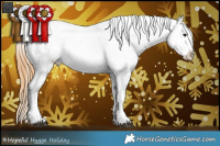Horse Color:White Spotted Buckskin Splash Appaloosa  and White Spotted Buckskin Splash Appaloosa 
