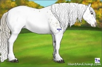 Horse Color:White Spotted Liver Red Dun Mushroom Splash  Brindle