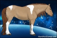 Horse Color:Red Dun Tobiano 