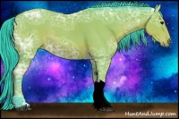 Horse Color:Watercolor Bay Ice Rabicano