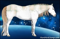 Horse Color:Plaid  White Spotted Smoky Black Pearl Splash Rabicano 