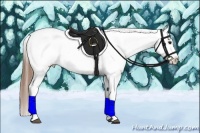 Horse Color:Bay Splash Tobiano Varnish Brindle