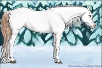 Horse Color:Bay Splash Tobiano Appaloosa Brindle