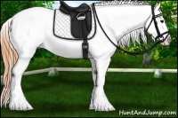 Horse Color:Buckskin Dun Sabino Appaloosa