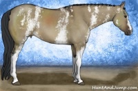 Horse Color:White Spotted Brown Dun 