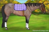 Horse Color:Bay Roan 