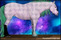 Horse Color:Watercolor Plaid Buckskin Ice Dun