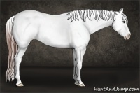 Horse Color:Bay Ice Roan Appaloosa