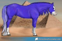 Horse Color:Watercolor Liver Chestnut Splash 