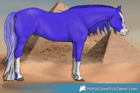 Horse Color:Watercolor Liver Chestnut Splash