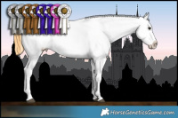 Horse Color:Smoky Grullo Roan Tobiano Frame Appaloosa Rabicano 